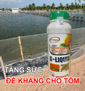 C LIQUID