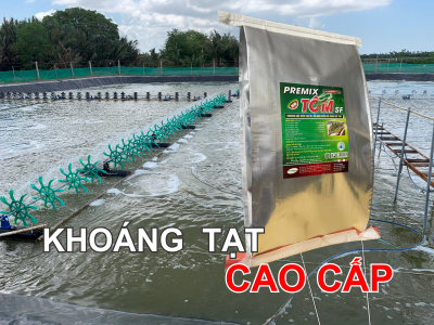 KHOÁNG TẠT PREMIX TÔM