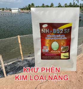 HẠ PHÈN CẤP TỐC