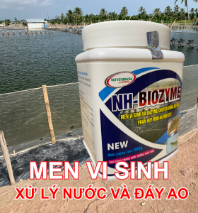 VI SINH - ENZYME CAO CẤP