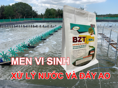 BZT NH3 MEN XỬ LÝ ĐÁY AO NUÔI TÔM, CÁ