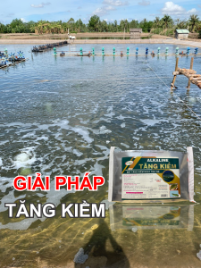 TĂNG KIỀM