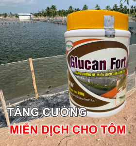 BETA GLUCAN