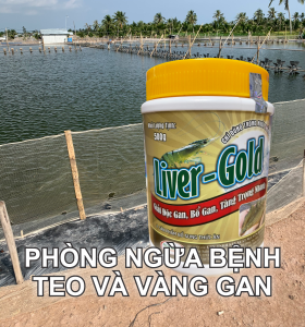 GIẢI ĐỌC GAN - TẨY TRẮNG THỊT CÁ