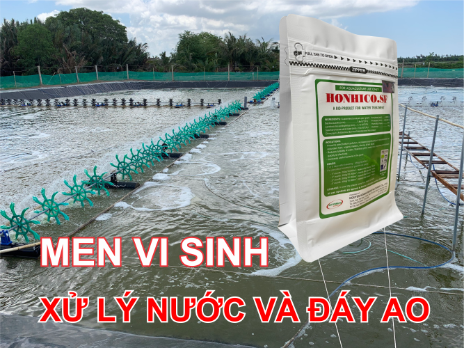 MEN VI SINH XỬ LÝ NƯỚC VÀ ĐÁY AO