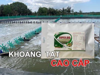 KHOÁNG GÂY MÀU NƯỚC
