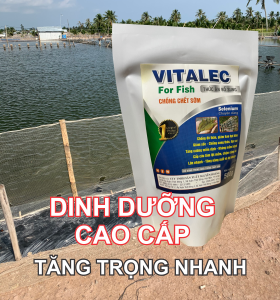 DINH DƯỠNG CHO TÔM