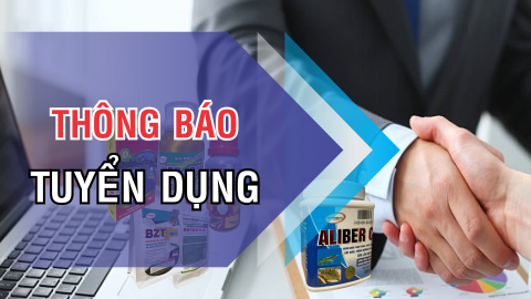 THÔNG TIN TUYỂN DỤNG
